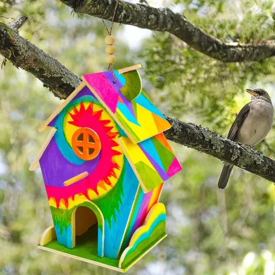 Kit alimentador de pássaros faça você mesmo, artesanato em madeira, faça você mesmo, kit de casa de pássaros para crianças